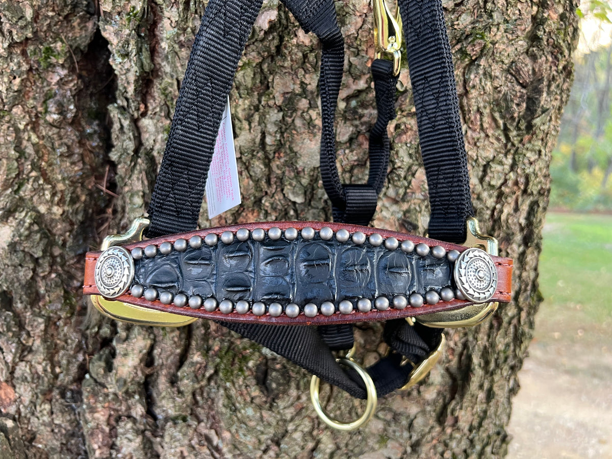 Licol Bronc Pour Cheval Avec Attache Cuir - Challenger 280RS26 - Noir/Tan/Bleu