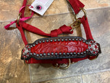Red Gator Mini Bronc Halter