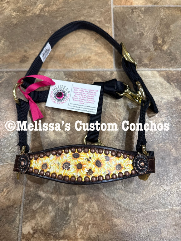Sunflower Mini Bronc Halter
