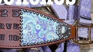 Custom Bronc Halter