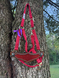 Red Glitter Bronc Halter