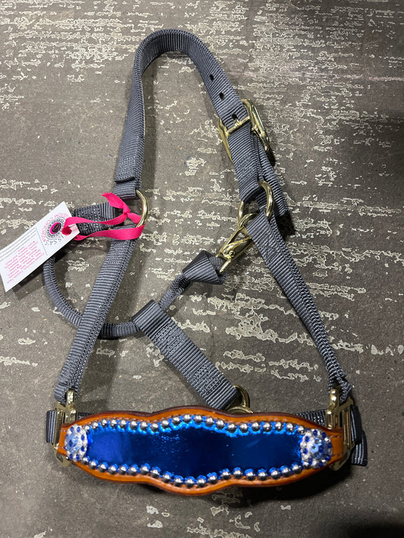 Metallic Blue Pony Bronc Halter