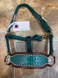 Green Gator Mini Bronc Halter