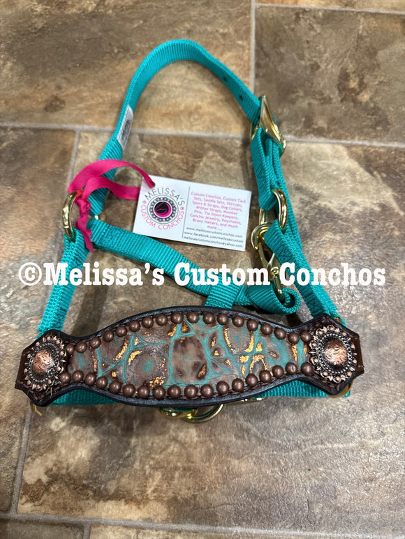 Turquoise Copper Mini Bronc Halter