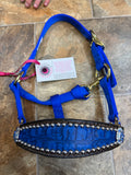 Blue Gator Mini Bronc Halter